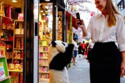 中国人「日本旅行で大阪到着！早速みんなに聞きたいことがある」　中国人「コンビニで数万円は使った」「これを早く買いに行って！」