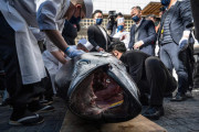 海外「一切れいくら？」日本の初競りで落札されたマグロの金額に海外びっくり仰天！（海外の反応）