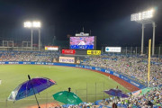 【海外の反応】日本旅行に野球観戦を組み込む価値はある？「絶対に行くべき」「選手考案の球場メシもある」