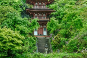 海外「シンプルに美しい…青もみじを見ているとすごく”緑”を感じる！」日本の浄瑠璃寺が美しい（海外の反応）
