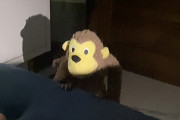 【海外】「突然動き出した！ベッドで目を覚ました男性が驚愕したぬいぐるみの秘密」