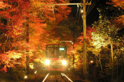 海外「外国でやったら犯罪急増してまう・・」日本の電車内から見る紅葉が凄い！