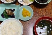 【必見】韓国人「日本の家庭料理に挑戦！今夜のディナーは大成功で大満足！」