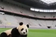 中国人「中国男子サッカー代表が日本に最後に勝ってからもう28年」　中国人「これが始まりだと思っていた」「数万年後には・・」