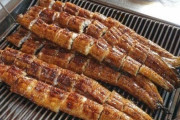 韓国人「韓国風うなぎの蒲焼VS和風うなぎ丼はどちらが美味しいのですか？」　韓国の反応