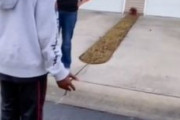 海外「アメリカの根深いレイシズム。黒人の子供に近所で遊ばないように言う白人老婆」