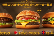 【韓国の反応】日本マクドナルド代表メニューが「カルビ」バーガー？韓国人「韓国の料理なのに」憤慨…