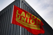 韓国人「代表まで乗り出したが…サムスンバイオ労組『予定通りストライキ』」→「欲張りすぎだろ」