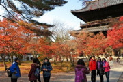 海外「日本が入国者上限を撤廃し、ビザなし旅行を解禁するようだ」