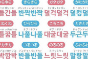 【話題】韓国民「G20での成功後、名実共に日本を抜いた！これが現実ｗｗｗ」