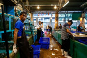 韓国人「中国が日本の水産物の輸入を禁止して焦ってるぞｗｗｗ我が国も続こう！」