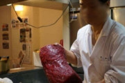 韓国人「イルカ食文化が続く日本の現状とは？」英国メディアがイルカ肉を分析した結果がこちらです　韓国の反応