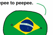 【ブラジル】ブラジルナンバーワン【ポーランドボール】