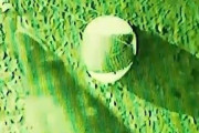 【海外】ペンタゴンが卵型UFOの調査を始めたってマジ!?