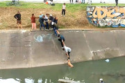 【海外】「人間の絆で救出！運河に閉じ込められた犬を助けた近隣住民の感動実話」