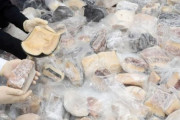 絶滅危惧種のクジラ肉を日本から密輸した業者逮捕＝韓国の反応」