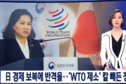 韓国人「韓国が日本の経済報復に反撃！」遂に刀を抜いた韓国政府、日本をＷＴＯに提訴！　韓国の反応