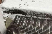 外国人「ストーリー性のある画像を世界から集めてみたｗｗｗｗ」