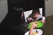 「このママの反応速度は凄まじい…」幼児が吹っ飛ばした食器をキャッチする