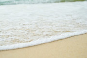 謎の集団死…この魚は浜辺で泳いでいるの！？「今まで見た中で一番キモい」「魚にプライバシーを与えろ」海外の反応