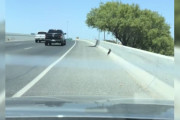 【海外】高速道路で見つけた小さな黒い物体、その正体は生まれて1週間の赤ちゃんだった！驚きの発見に迫る！
