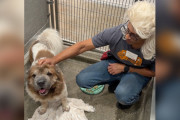 【海外】「犬が男性に緊張？スタッフがウィッグで心を通わせる感動ストーリー」