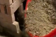 韓国人「世界で最も高い液体」