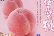 韓国人「物価も上昇してるし、これを機に福島県産の食料を安く輸入しない？」「どんだけ貧乏なの？」