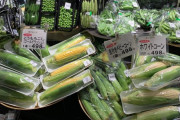 日本「どうして西洋人はプラスチックをそんなに嫌うの？」
