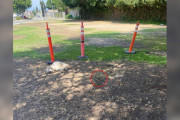 【海外】「高齢犬がコーンのそばで横たわる理由とは？驚きの真実に迫る！」