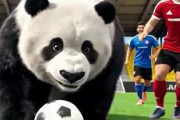 中国人「サッカー日本代表の黄金時代はどうなる？」　中国人「全体としては上昇傾向」「これから益々強くなる」