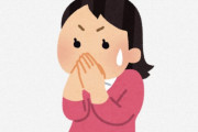 海外「本当に日本のルールとか規制が大嫌い」外国人と日本人のカルチャーショック