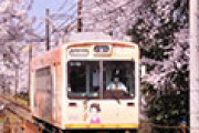 京都、嵐電の桜のトンネルがまるでアニメみたいだと話題に 海外の反応