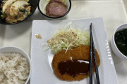 韓国人「これでたったの580円！」韓国人が驚く『日本の会社のランチ』をご覧ください‥ﾌﾞﾙﾌﾞﾙ　韓国の反応