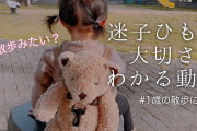 海外の反応「日本でたまに見かける子供用ハーネスは必要か？」