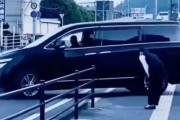 韓国人「日本人の礼儀正しさは想像を絶する」