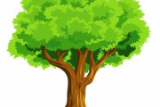 「少しずつ木に吸収されつつあるキリスト像がこちら…」ポーランドの墓地