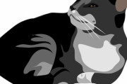 「猫を見て心臓が止まりそうになるとき…」思わず二度見する写真