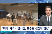 韓国人「世界中で自民党ほど “政治のしやすい国” は無い件」「事実上の一党独裁国です。」