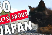海外「日本では古い家は価値がマイナスになっちゃうの!?」日本に関する50の事実が話題に（海外の反応）