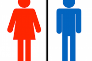 海外「こんなの日本のトイレじゃない！」エコより憧れのアレがついてないと納得しない外国人