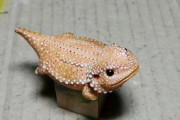 海外「台湾人アーティストのぽっちゃり爬虫類フィギュアを見てくれ！」