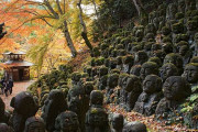 海外「京都の主要な観光名所以外の隠れた名所を教えて欲しい」京都の知られざる名所に対する海外の反応