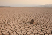 人類のせいで予想よりも早く世界は「第6の大量絶滅時代」を迎える　戦慄の研究論文が発表