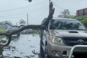 海外「火事の次は雨か」 オーストラリアのシドニーで20年来の大雨。10万戸以上が停電になる。