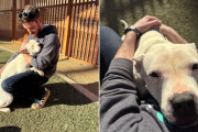 【海外】「誰にでも抱きつく保護犬、その愛に包まれた里親探しの旅」