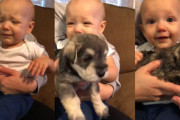 泣いている生後8ヶ月の女の子が子犬を抱いた途端に笑顔が戻る！