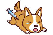 日本の「狂犬病予防接種の漫画」がうちのワンコと一緒で笑ったと話題に！【台湾人の反応】