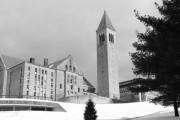 「いったい誰がどうやって？」大学の尖塔のてっぺんにカボチャが突き刺された事件は今も謎のまま
