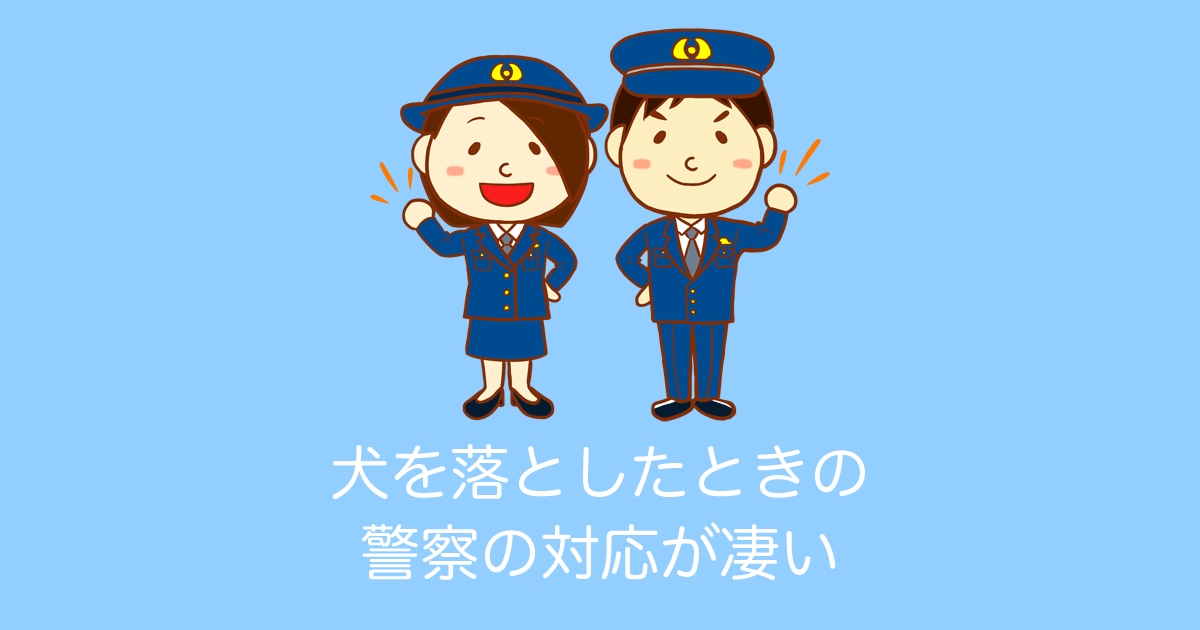 日本ってすげー！デカい犬を落として無理だと思いながら警察に行った結果！【台湾人の反応】 | 海外の反応アンテナ